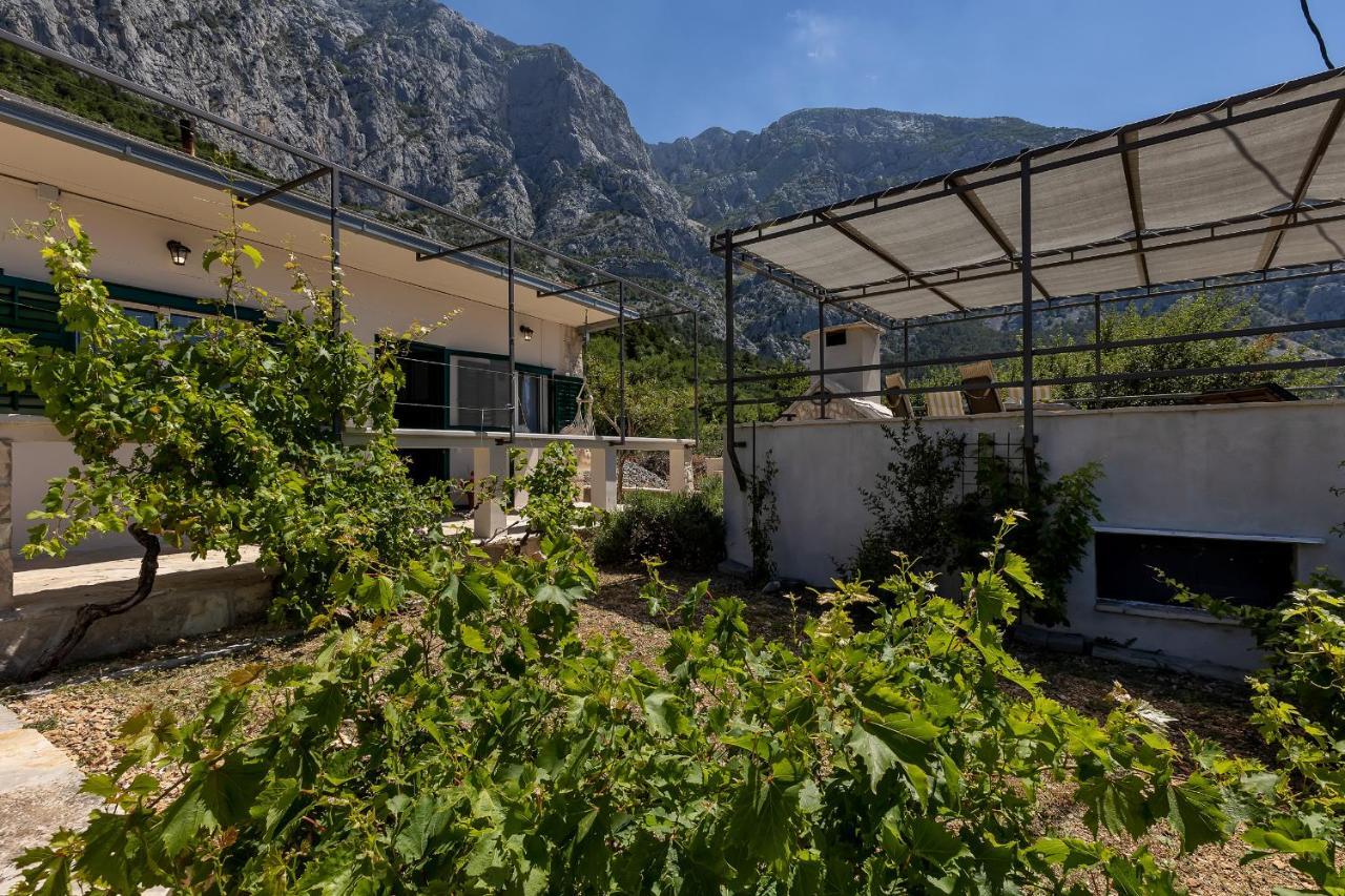 Cottage Baskovic In Nature Park Makarska Zewnętrze zdjęcie